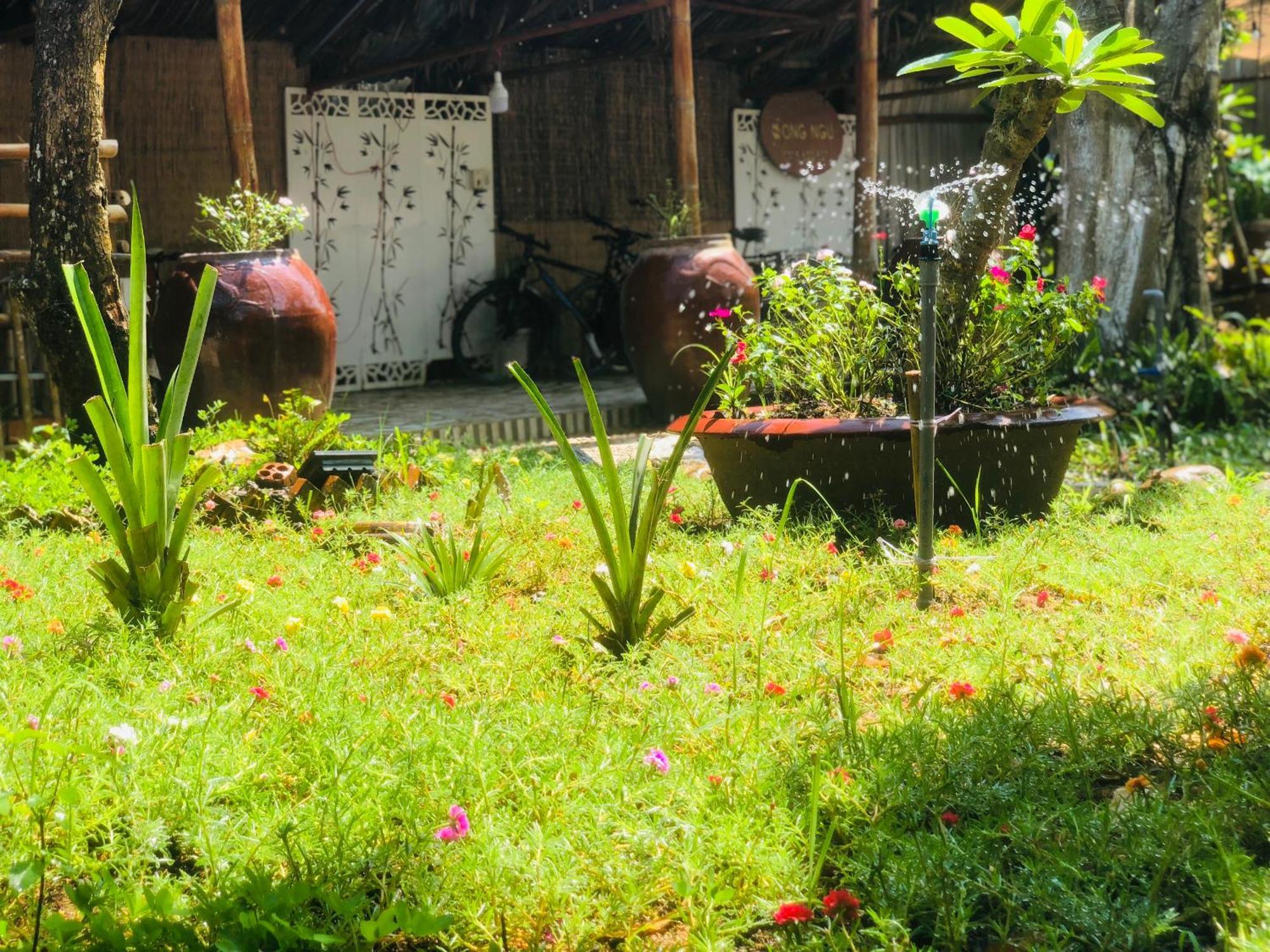 Song Ngu Pisces Homestay Can Tho Exterior foto